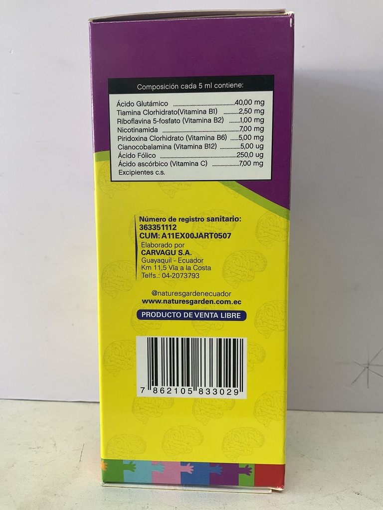 MULTI C BRINA MEMORIA KIDS JARABE 240ML NUTURES GARDEN