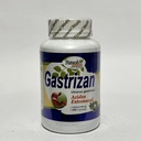 GASTRIZAN NATURAL MEDIX