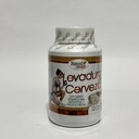 LEVADURA DE CERVEZA NATURAL MEDIX