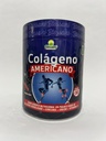 COLAGENO AMERICANO 300GR BLESSANI